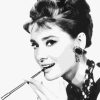 Actress Audrey Hepburn Paint By Number