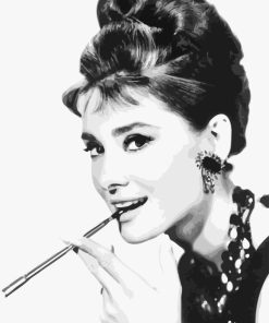 Actress Audrey Hepburn Paint By Number