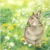 Adorable Rabbit Paint By Number