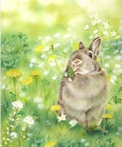 Adorable Rabbit Paint By Number