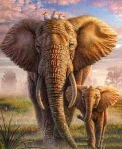 African Elephans Paint By Number