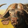 African Buffalo Paint By Number