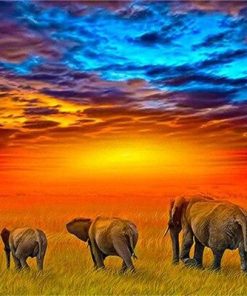 African Safari Elephants Paint By Number