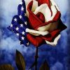 American Flag Rose Paint By Number