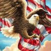 American Flag and Eagle Paint By Number