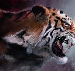 Angry Tiger Paint By Number