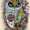 Artistic Night Owl Paint By Number