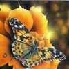 Autumn Butterfly Paint By Number