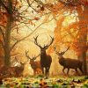 Autumn Deers Paint By Number