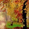 Autumn Tree Paint By Number