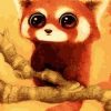 Baby Red Panda Paint By Number