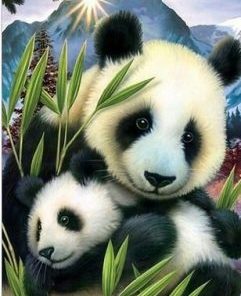 Bamboo Panda Paint By Number