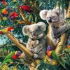 Birds & Koalas Paint By Number