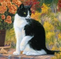 Black And White Cat Paint By Number