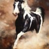 Black White Horse Paint By Number