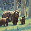 Black Bears Family Paint By Number