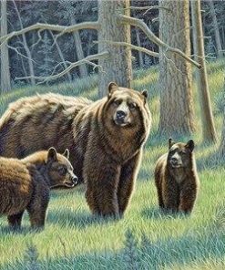 Black Bears Family Paint By Number