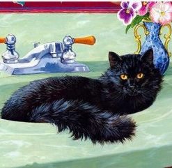 Black Cat In A Bath Paint By Number