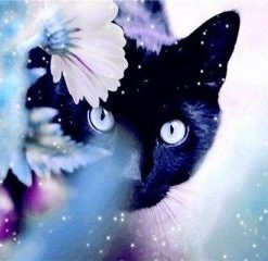 Black Cat In The Flowers Paint By Number