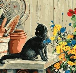 Black Cat On Table Paint By Number