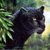 Black Leopard Paint By Number