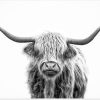 Black and White Highland Cow Paint By Number