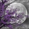 Blossomed Tree And The Moon Paint By Number