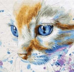 Blue Eyes Cat Paint By Number