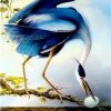 Blue Heron Paint By Number