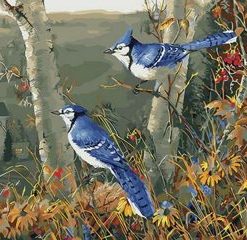 Blue Jay On Tree Paint By Number