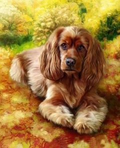 Brown Dog Paint By Number