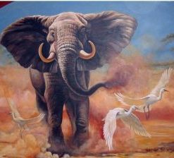 Bull Elephant Paint By Number