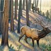 Bull Elk Paint By Number