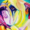 Bulldog Animal Paint By Number