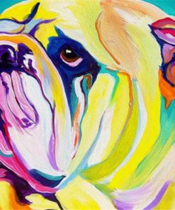 Bulldog Animal Paint By Number