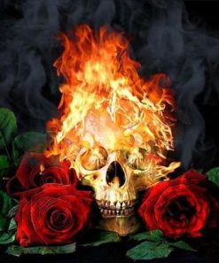 Burning Skull Paint By Number