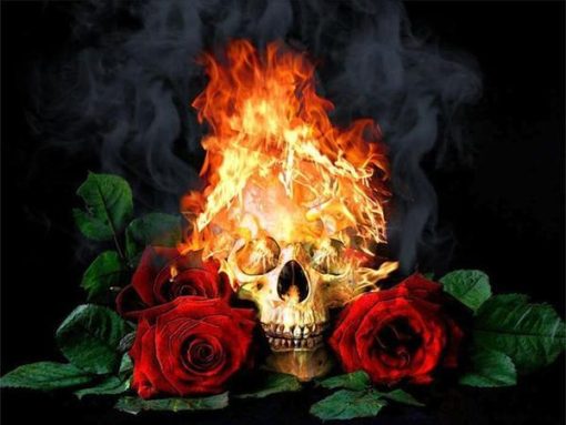 Burning Skull Paint By Number