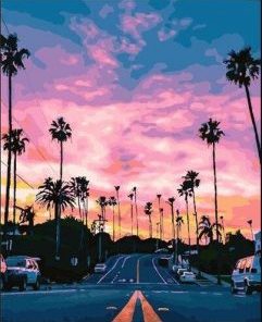 California Pink Sunset Paint By Number