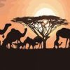 Camels Sunset Paint By Number