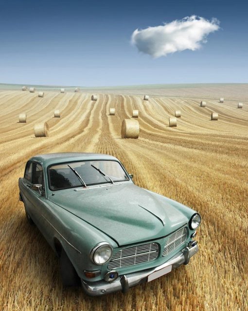 Car In Field Paint By Number