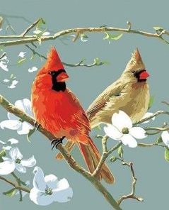 Cardinals Bird Paint By Number