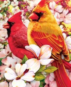 Cardinals Birds Paint By Number