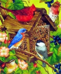 Cardinals and Finches Paint By Number