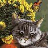 Cat And Butterfly Paint By Number