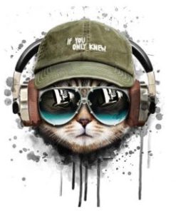 Cat Listening To Music Paint By Number