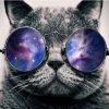 Cat With Galaxy Glasses Paint By Number