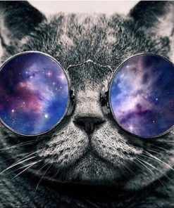 Cat With Galaxy Glasses Paint By Number