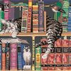 Cat and Books Paint By Number