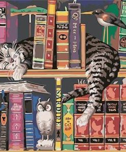 Cat and Books Paint By Number