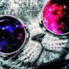 Cat with Space Sunglasses Paint By Number